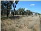 161 Warialda Road, Warialda NSW 2402