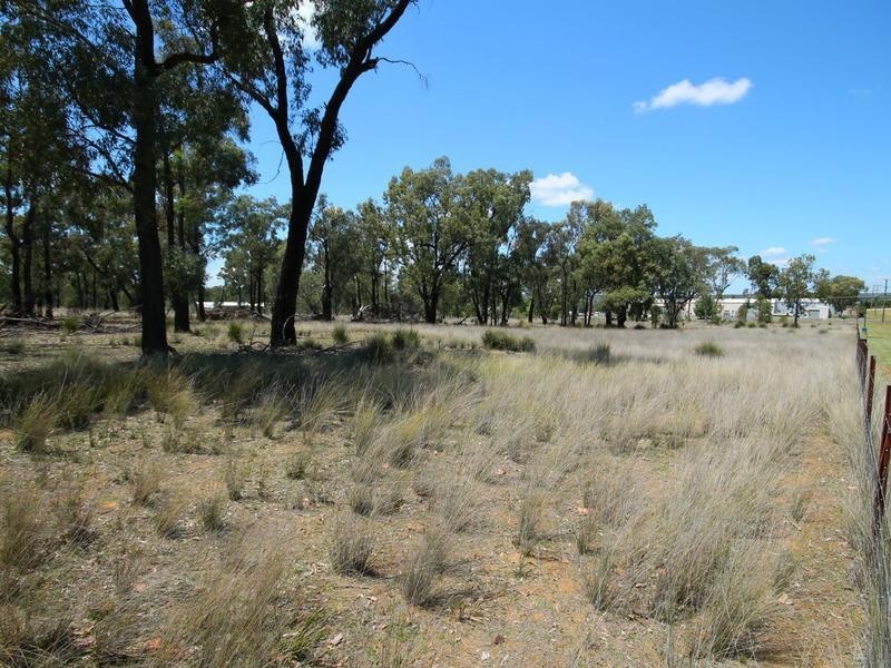 161 Warialda Road, Warialda NSW 2402