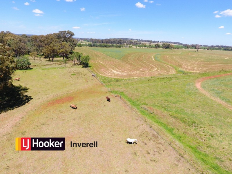 805 Mount Russell Road, Inverell NSW 2360