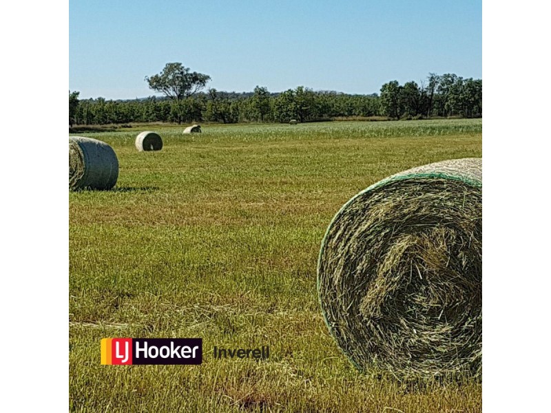 805 Mount Russell Road, Inverell NSW 2360