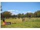 805 Mount Russell Road, Inverell NSW 2360