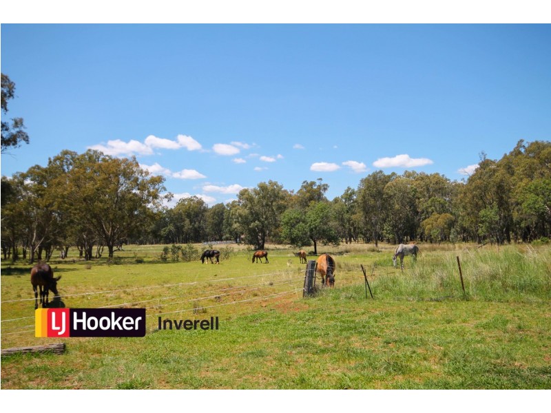 805 Mount Russell Road, Inverell NSW 2360