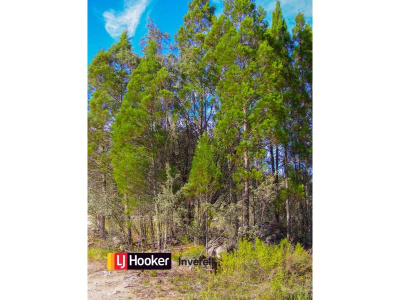 445 Old Stannifer Road, Inverell NSW 2360