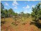 17 Havilah Park Road, Inverell NSW 2360