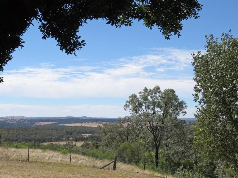 384 Yammacoona Estate Road, Inverell NSW 2360