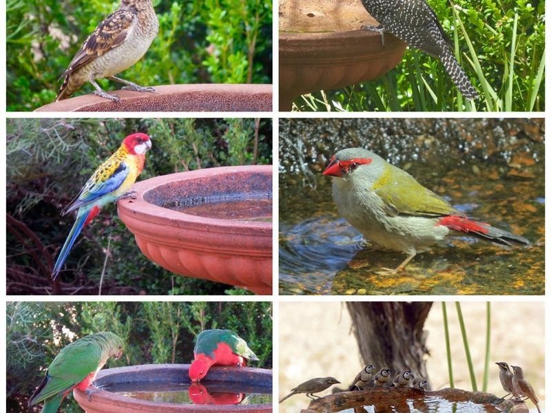 384 Yammacoona Estate Road, Inverell NSW 2360