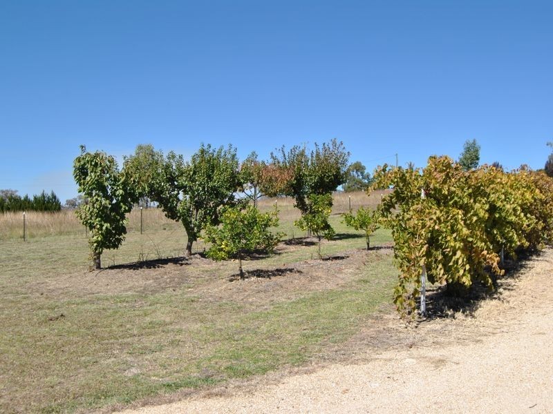 86 Doncaster Drive, Inverell NSW 2360