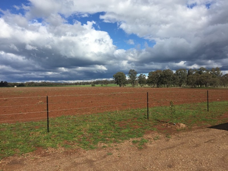76 Thomas Lane, Gum Flat NSW 2360