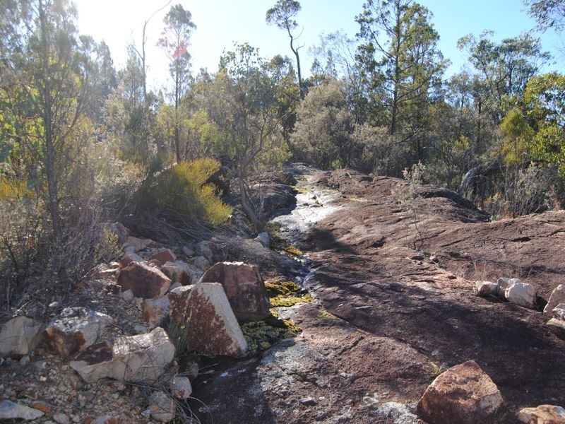 3207 Bundarra Road, Gilgai NSW 2360