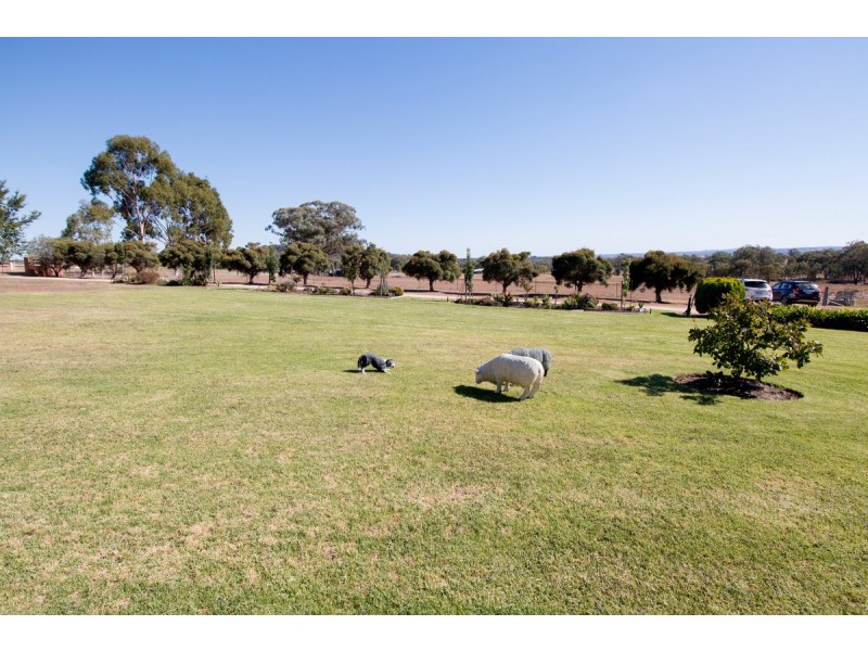 533 Fernhill Road, Inverell NSW 2360