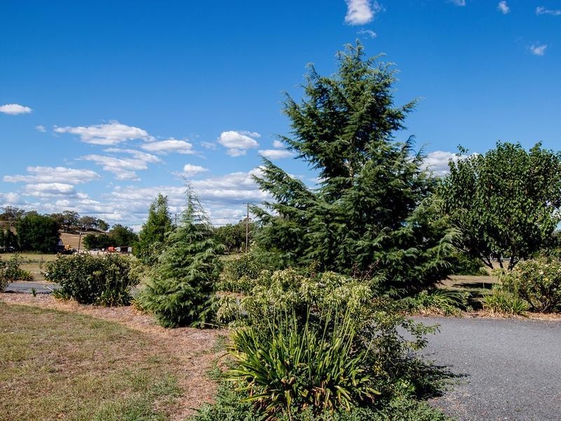 103 Fernhill Road, Inverell NSW 2360