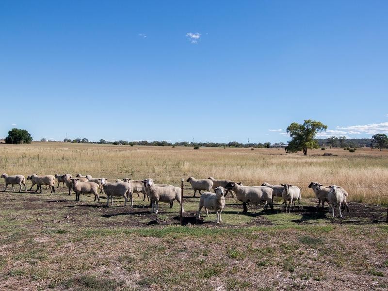 103 Fernhill Road, Inverell NSW 2360