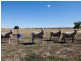 103 Fernhill Road, Inverell NSW 2360