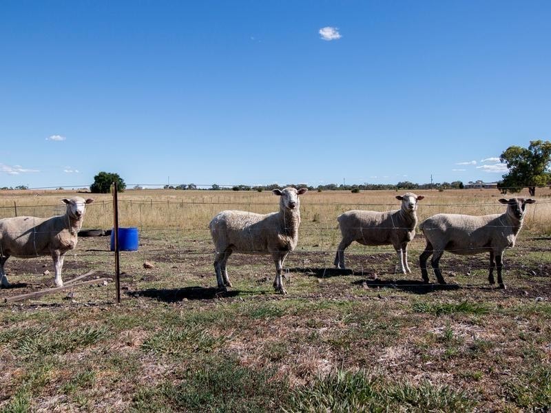 103 Fernhill Road, Inverell NSW 2360