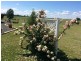 103 Fernhill Road, Inverell NSW 2360