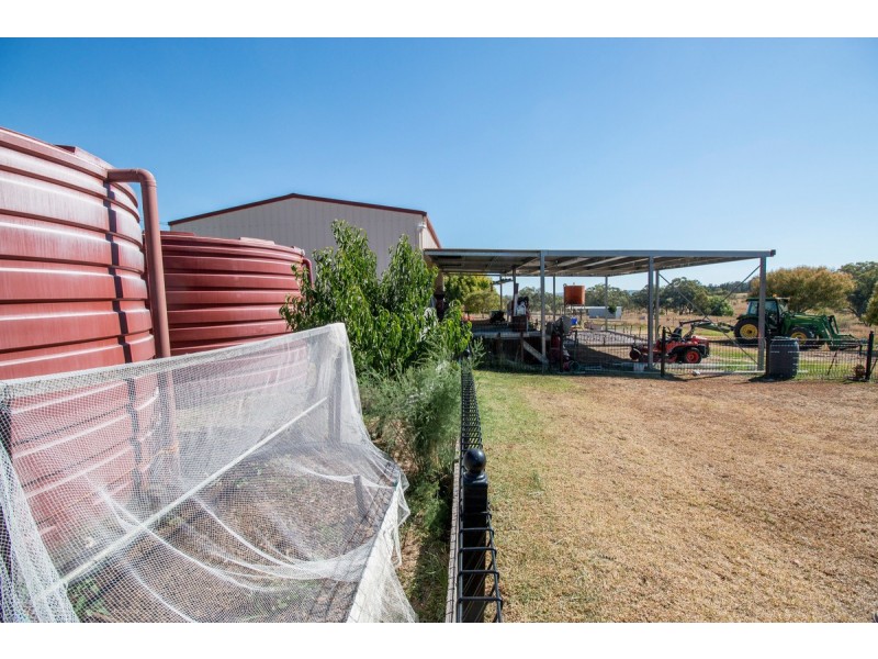 533 Fernhill Road, Inverell NSW 2360
