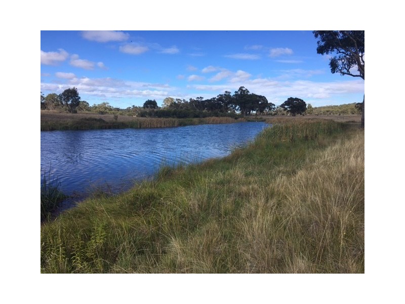 1178 Moredun Dams Road, Inverell NSW 2360