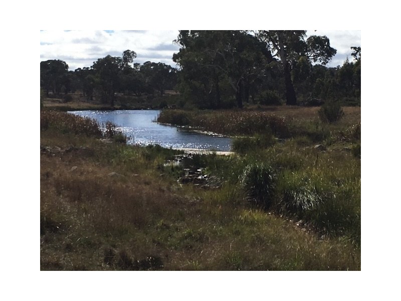 1178 Moredun Dams Road, Inverell NSW 2360