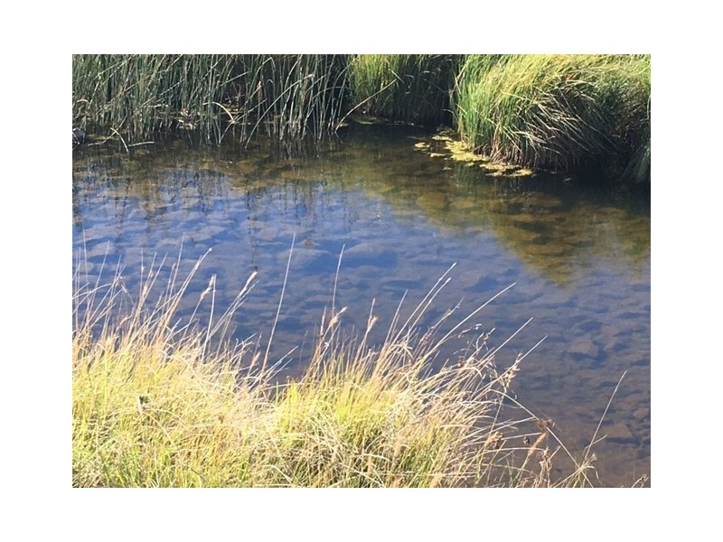 1178 Moredun Dams Road, Inverell NSW 2360