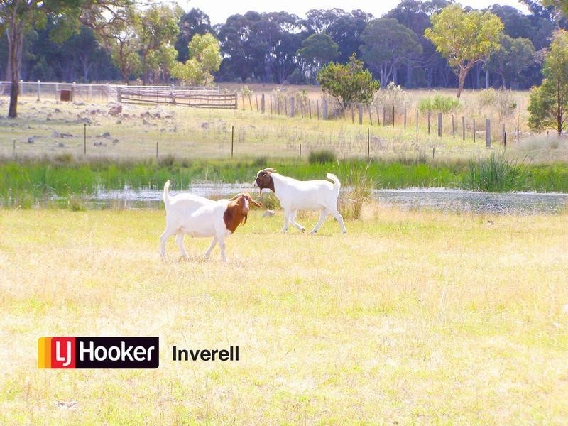 1178 Moredun Dams Road, Inverell NSW 2360