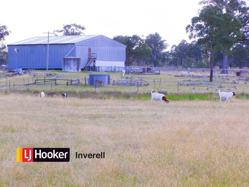 1178 Moredun Dams Road, Inverell NSW 2360