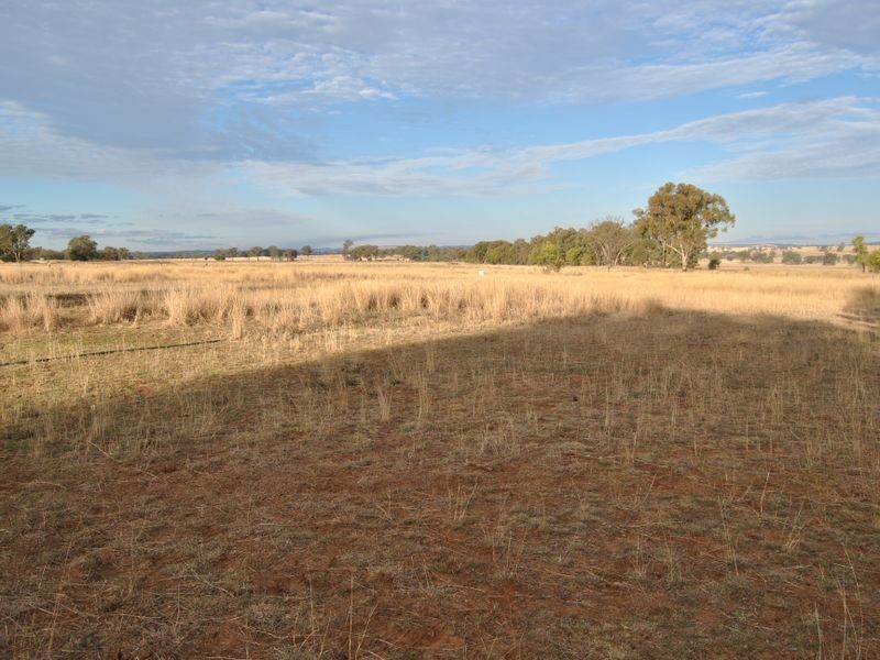 23 Pindaroi Road, Inverell NSW 2360