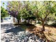 42 Lewin Street, Inverell NSW 2360