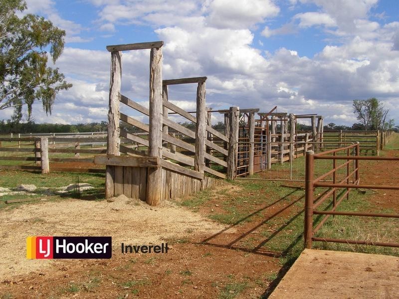76 Thomas Lane, Inverell NSW 2360