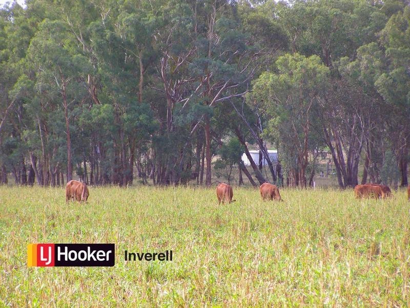 76 Thomas Lane, Inverell NSW 2360