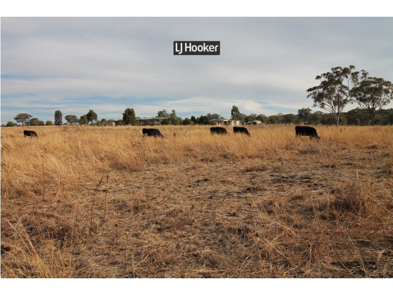 528 Fernhill Road, Inverell NSW 2360
