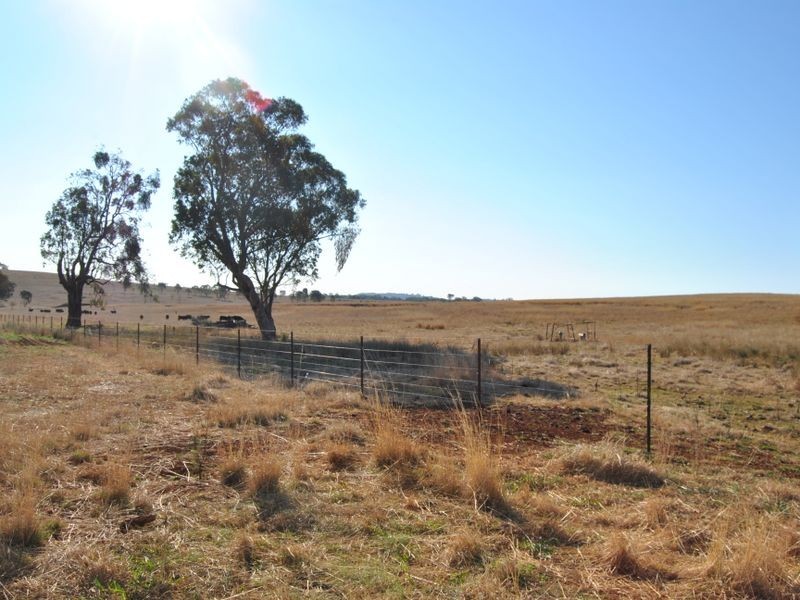 158 Lamonts Lane, Inverell NSW 2360