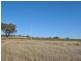 158 Lamonts Lane, Inverell NSW 2360
