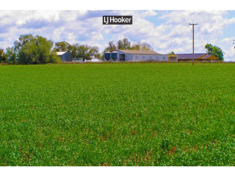 191 Halls Lane, Inverell NSW 2360