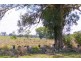 191 Halls Lane, Inverell NSW 2360