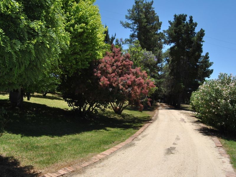 7209 Gwydir Highway, Inverell NSW 2360