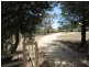 492 Eddy Park Lane, Inverell NSW 2360
