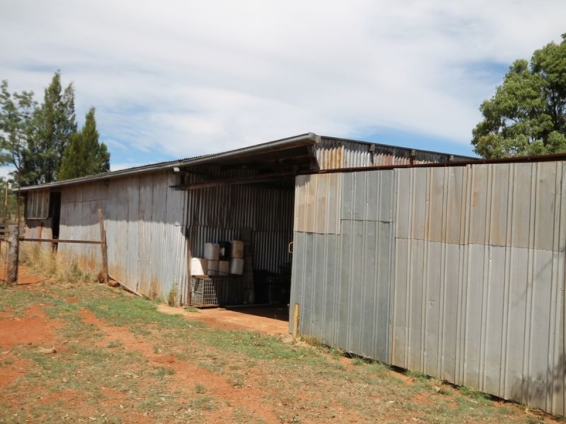3389 Bundarra Road, Gilgai NSW 2360