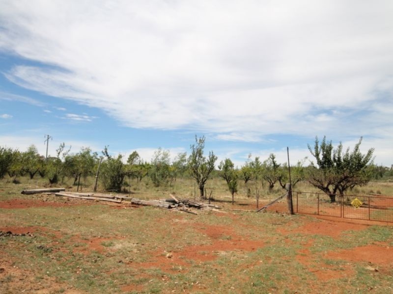 3389 Bundarra Road, Gilgai NSW 2360