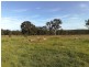 Lot 2 Aberdeen Road, Inverell NSW 2360