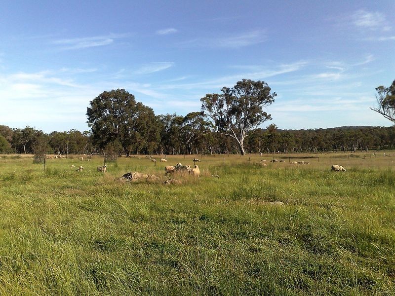 Lot 2 Aberdeen Road, Inverell NSW 2360