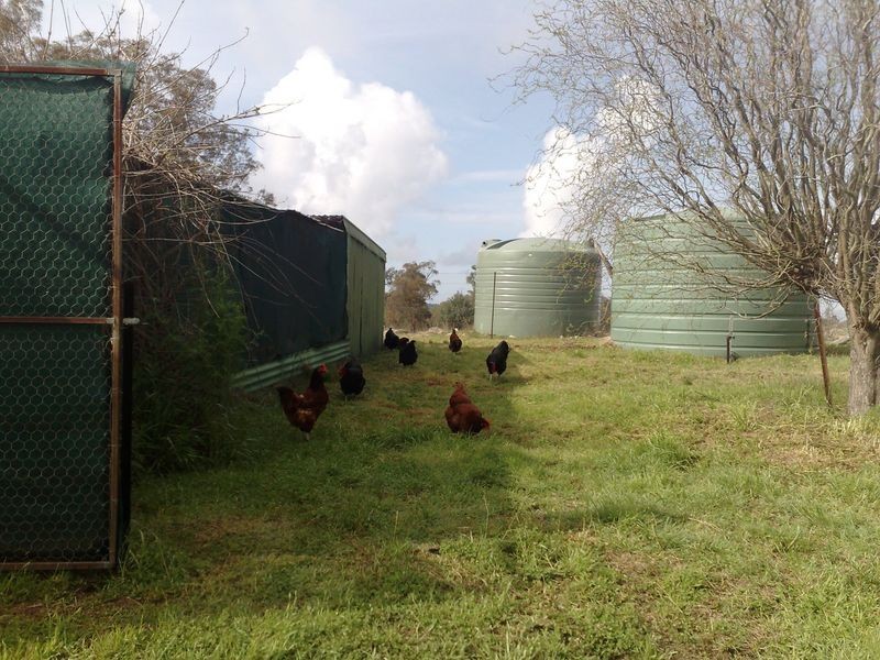 Lot 2 Aberdeen Road, Inverell NSW 2360