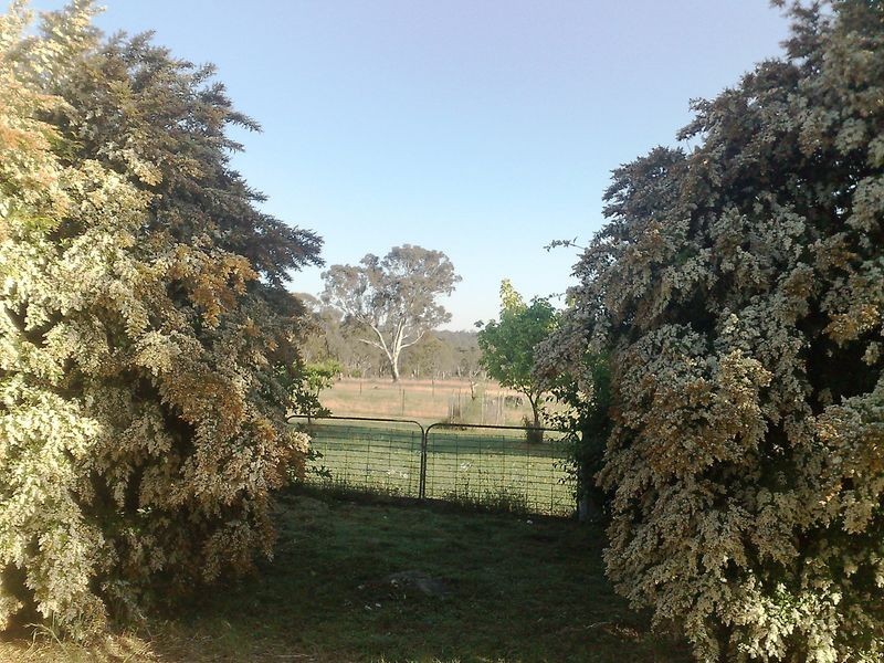 Lot 2 Aberdeen Road, Inverell NSW 2360