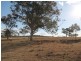 Lot 4 Rose Fernhill Road, Inverell NSW 2360