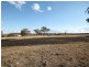 Lot 4 Rose Fernhill Road, Inverell NSW 2360