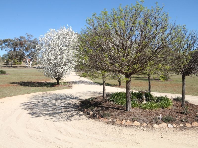 305 Swanbrook RD, Inverell NSW 2360