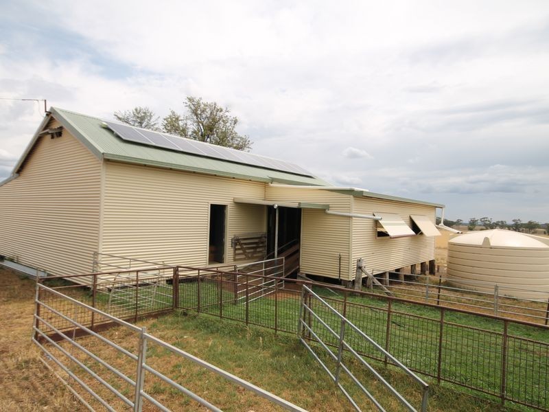 80 Wades Lane, Inverell NSW 2360