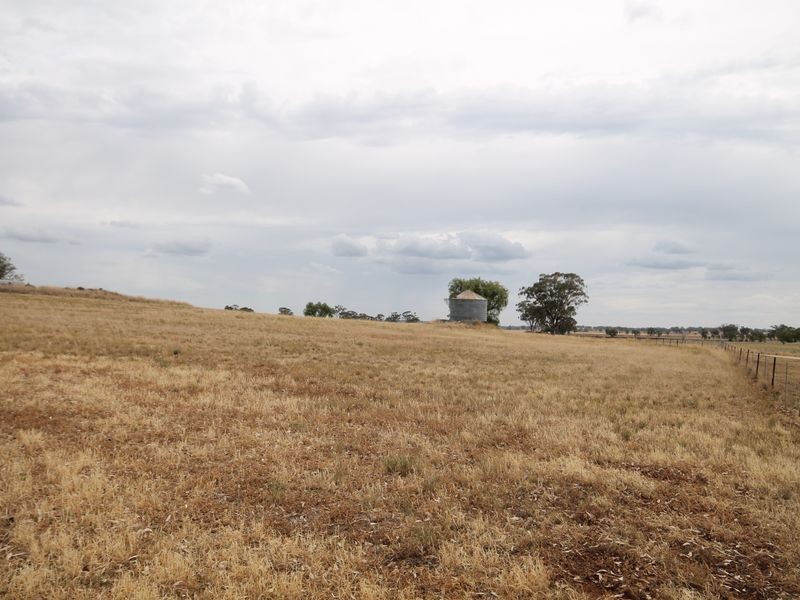 80 Wades Lane, Inverell NSW 2360