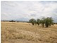 80 Wades Lane, Inverell NSW 2360