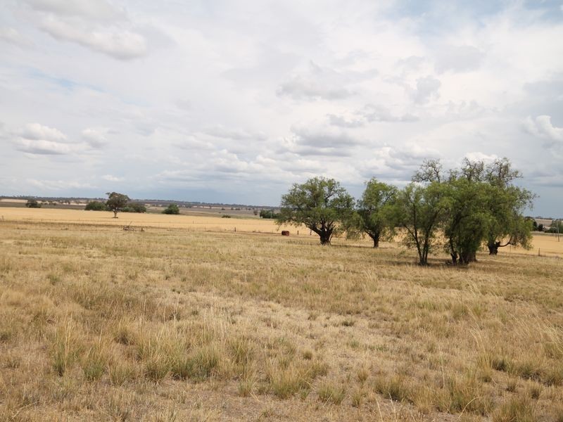 80 Wades Lane, Inverell NSW 2360