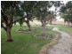 Inverell NSW 2360